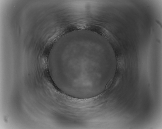 X0000103140043200808221225