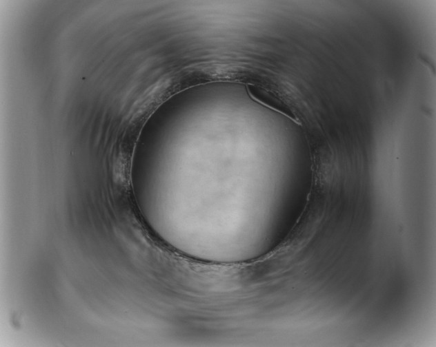 X0000103140044200808221225