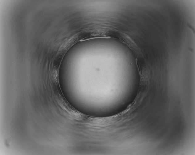 X0000103140045200808221225