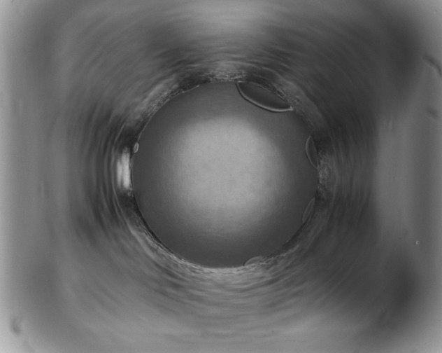 X0000103140046200808221225