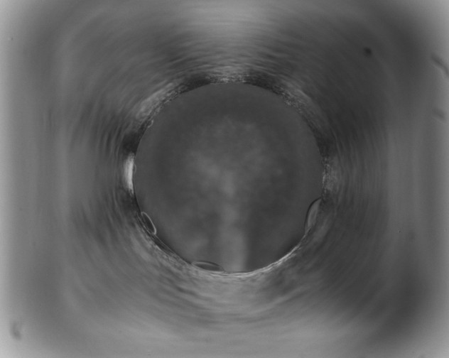 X0000103140047200808221225