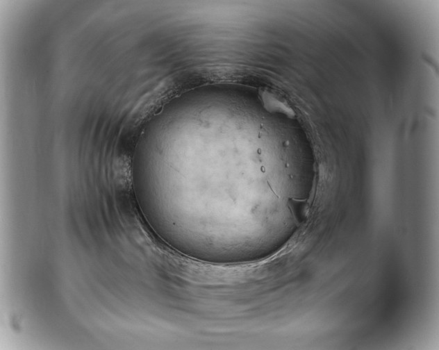 X0000103140048200808221225