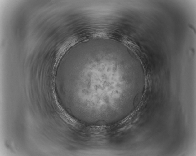 X0000103140049200808221225