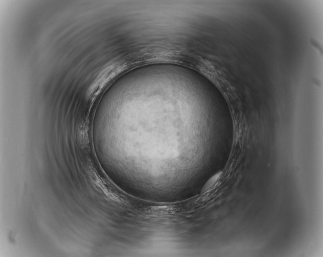 X0000103140050200808221225