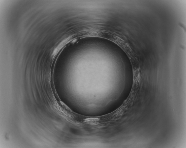 X0000103140051200808221225