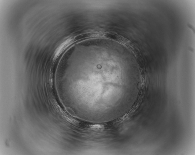 X0000103140053200808221225