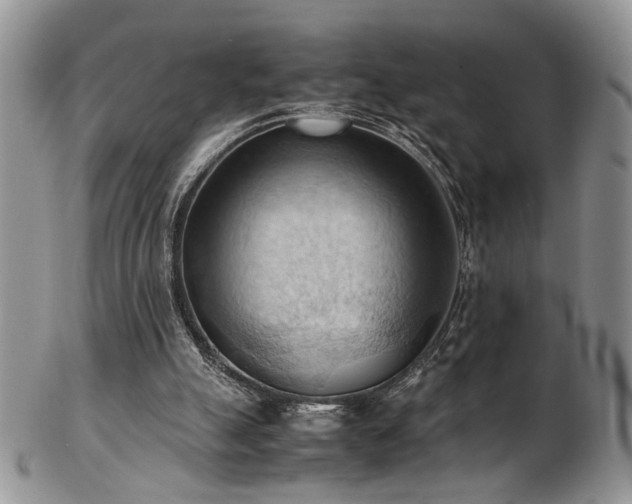 X0000103140055200808221225