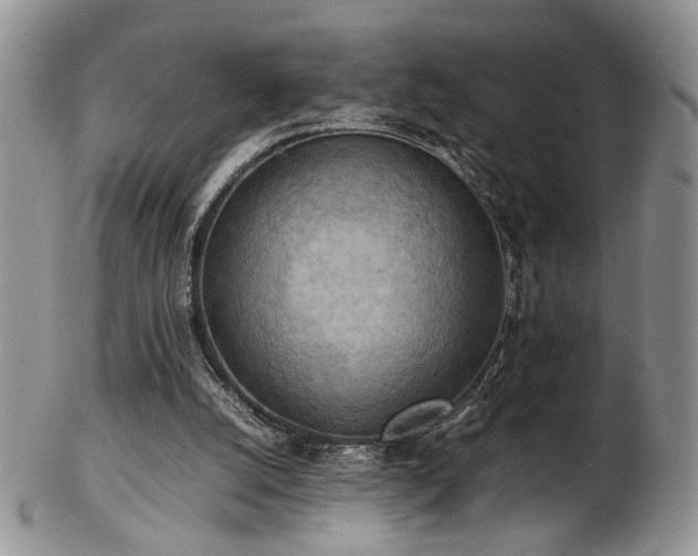 X0000103140056200808221225