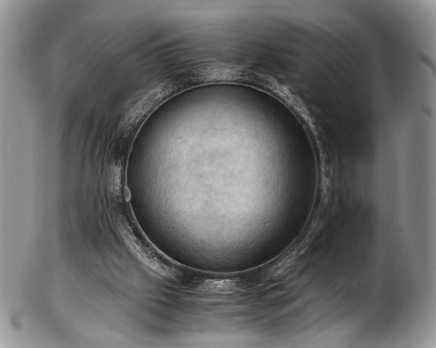 X0000103140057200808221225