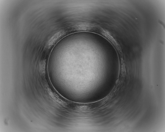 X0000103140058200808221225