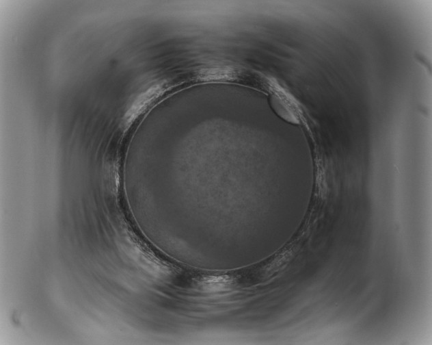 X0000103140059200808221225