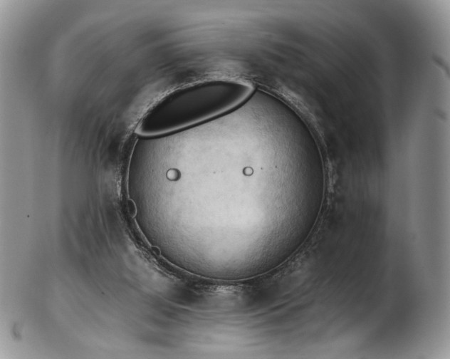 X0000103140060200808221225