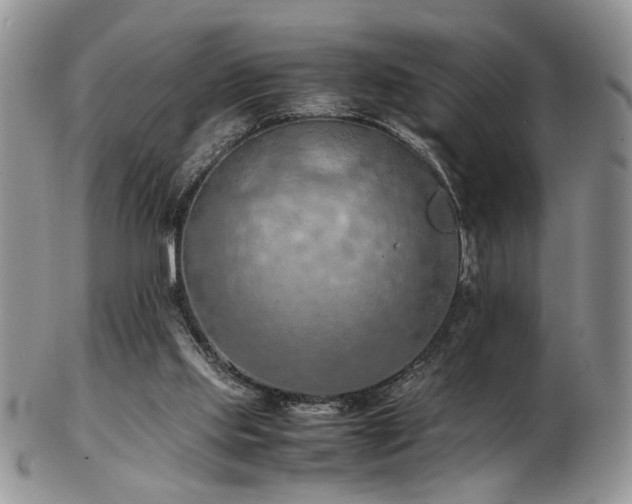 X0000103140061200808221225