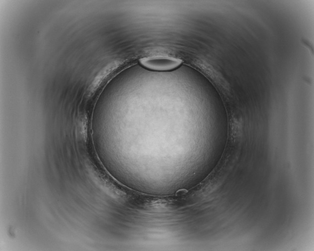 X0000103140064200808221225