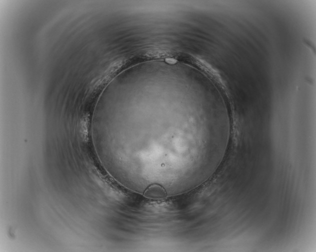 X0000103140065200808221225