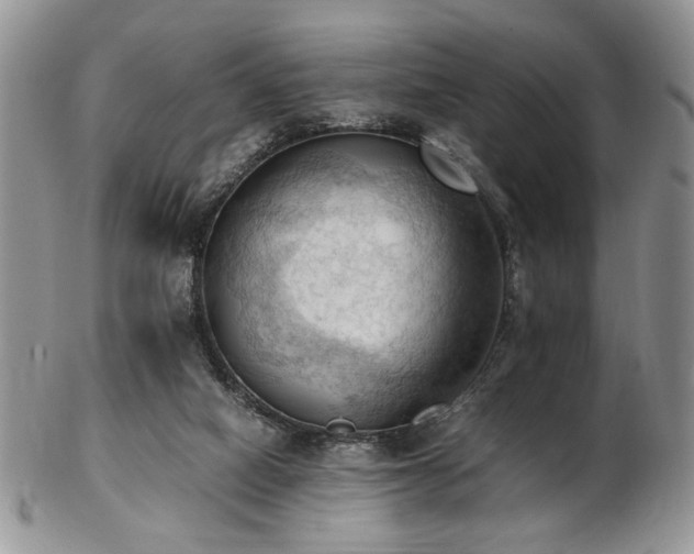 X0000103140066200808221225