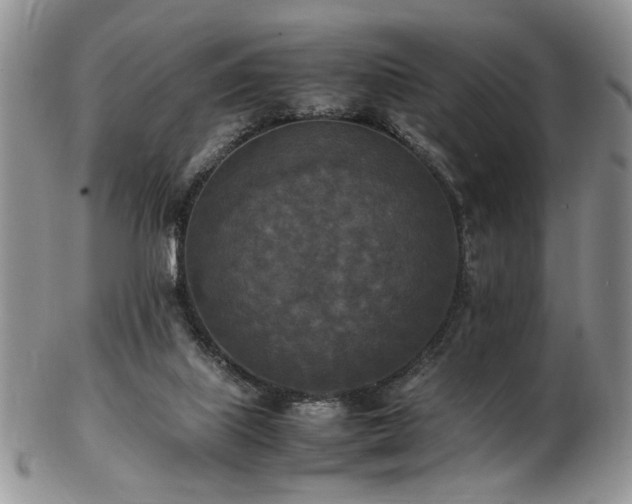 X0000103140067200808221225