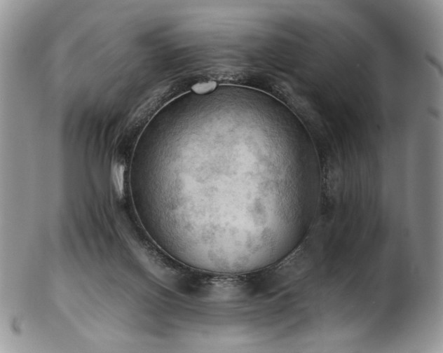 X0000103140070200808221225