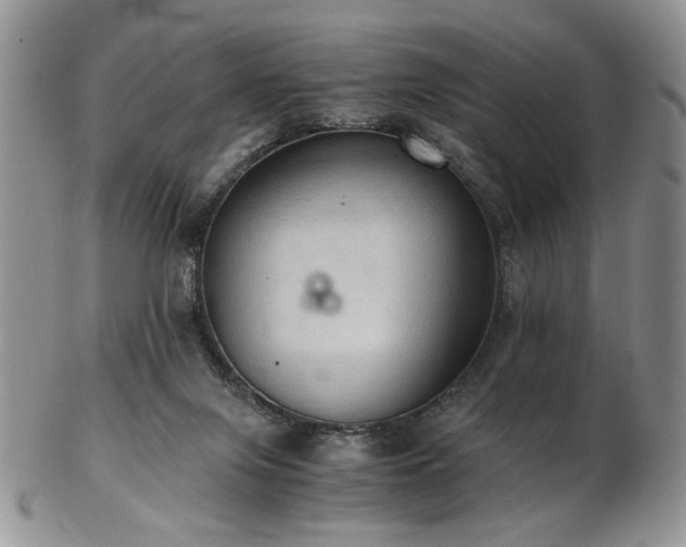 X0000103140071200808221225