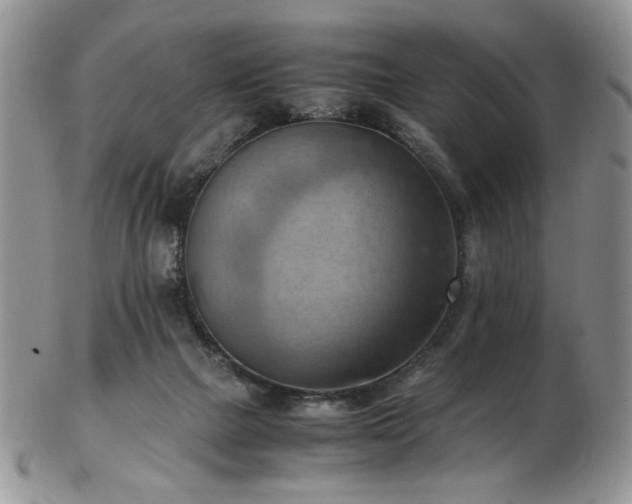 X0000103140073200808221225