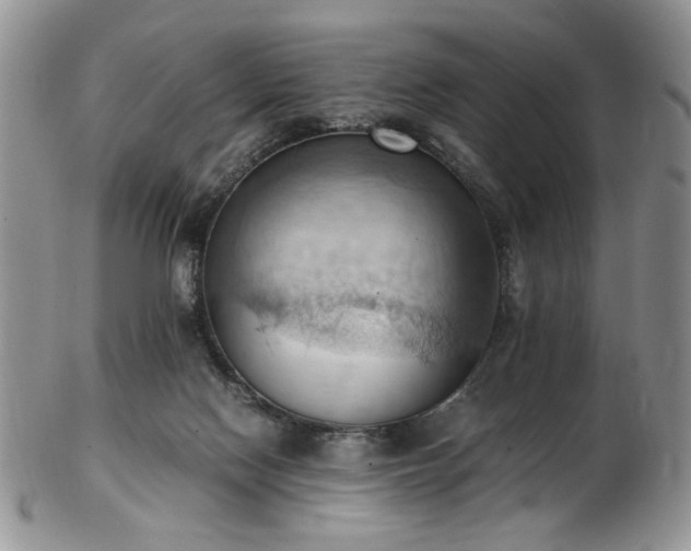 X0000103140074200808221225