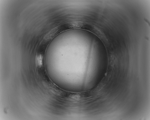 X0000103140075200808221225