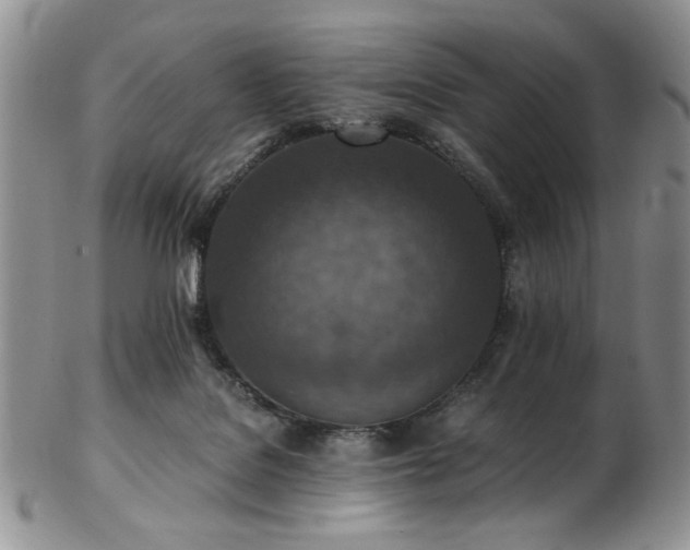 X0000103140076200808221225