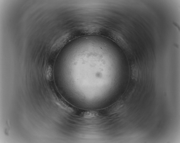 X0000103140077200808221225