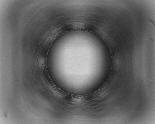 X0000103140079200808221225