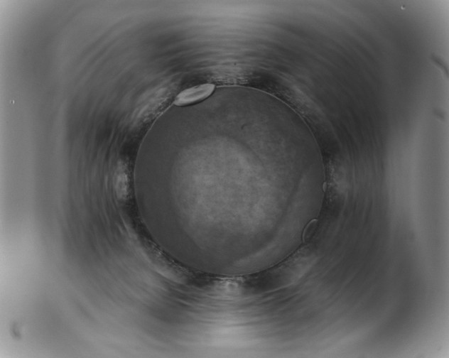 X0000103140080200808221225