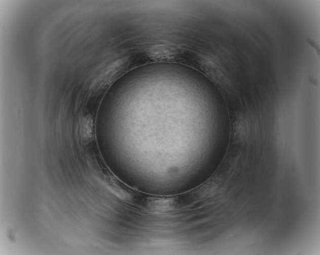 X0000103140081200808221225