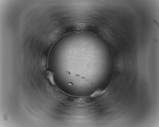 X0000103140082200808221225