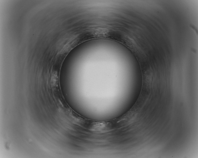 X0000103140083200808221225