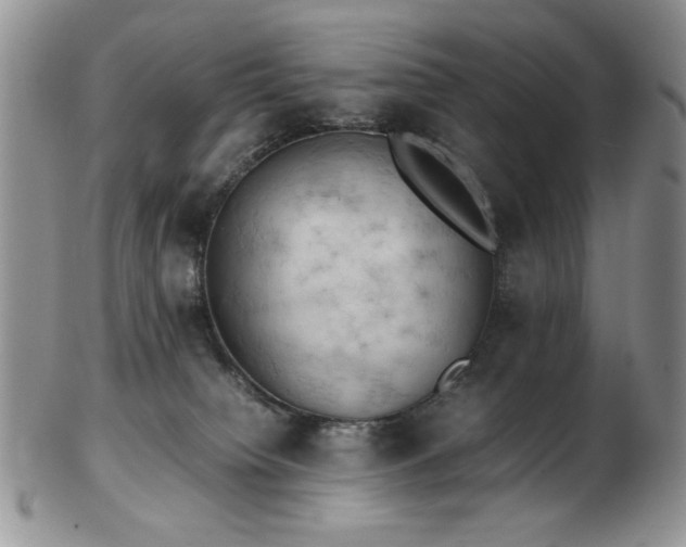 X0000103140084200808221225