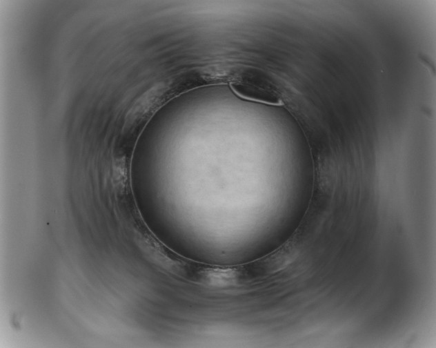 X0000103140085200808221225