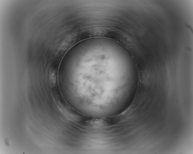 X0000103140086200808221225