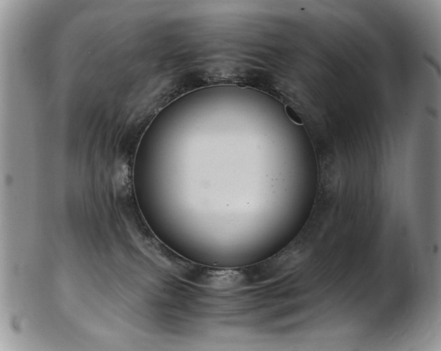 X0000103140087200808221225