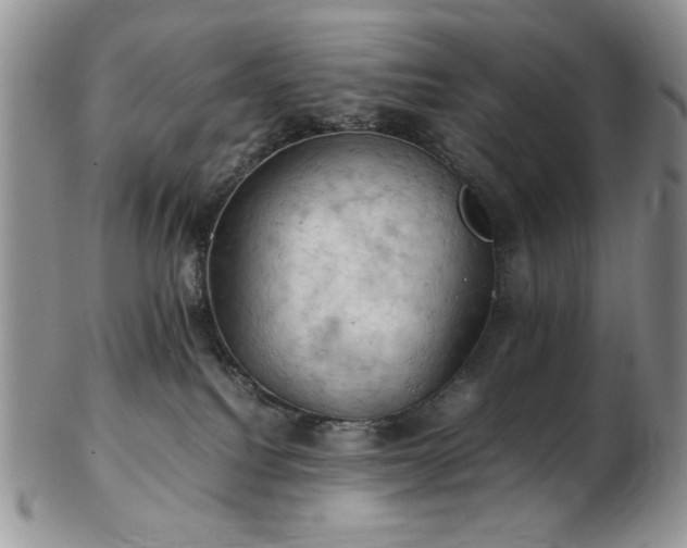 X0000103140088200808221225