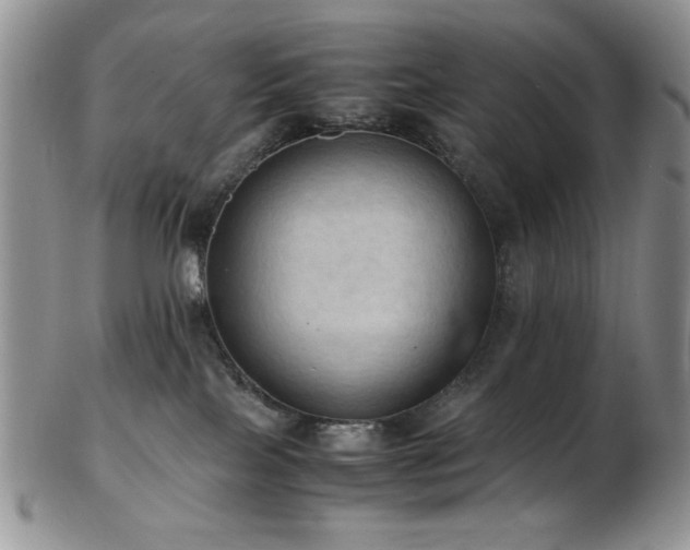 X0000103140089200808221225