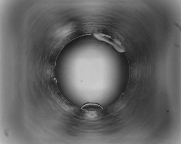 X0000103140091200808221225