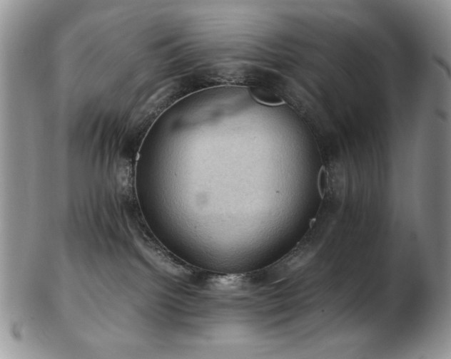 X0000103140092200808221225