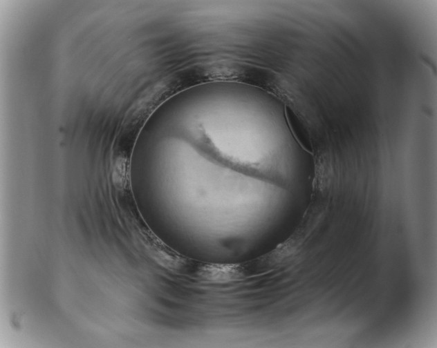 X0000103140093200808221225