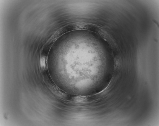 X0000103140094200808221225