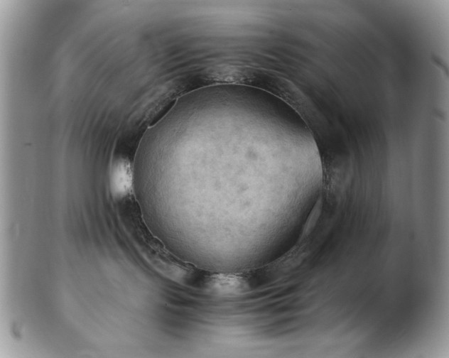 X0000103140095200808221225