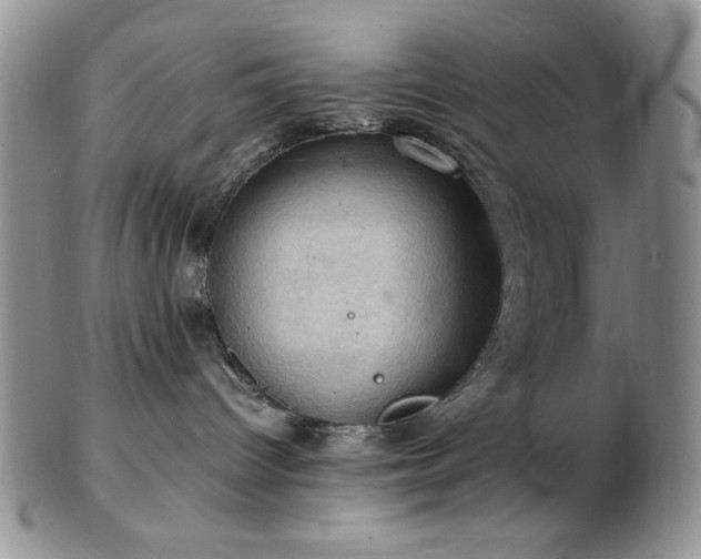 X0000103140096200808221225