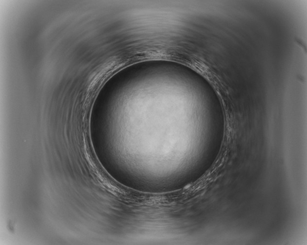 X0000103140097200808221225