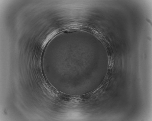 X0000103140099200808221225