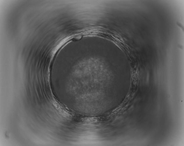 X0000103140100200808221225