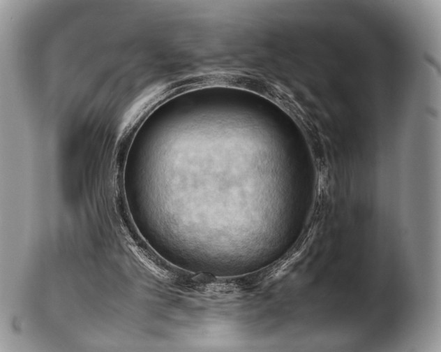 X0000103140101200808221225