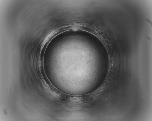 X0000103140102200808221225